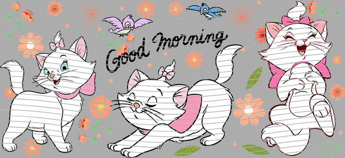 16oz Disney style-D-417